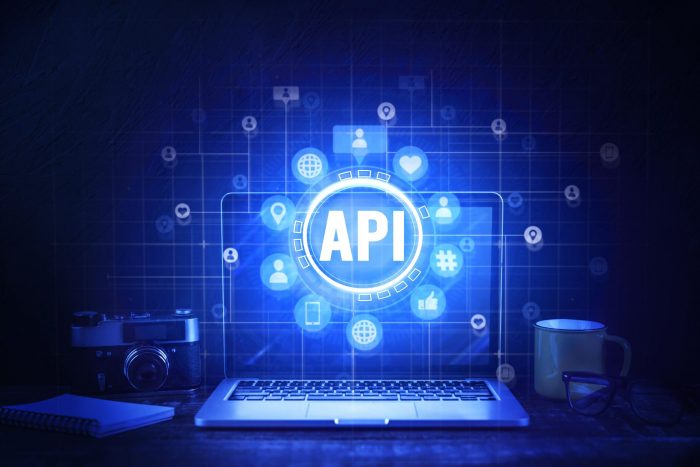 Protect API Vulnerabilities