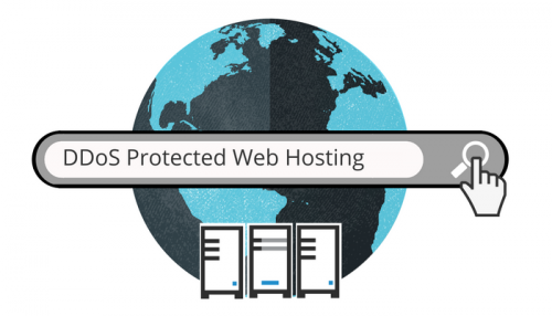 DDoS protected web hosting