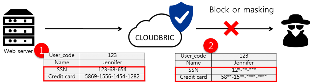 Cloudbric's diagram of how private data travels from a user's server, is protected by Cloubric before it is sent to the customer