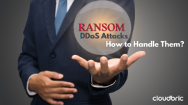 Ransom-DDoS-Attacks