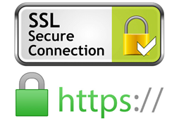 SSL secure Connection icon