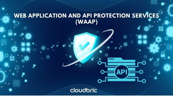 WAAP, Web application and API Protection Service, Cloudbric