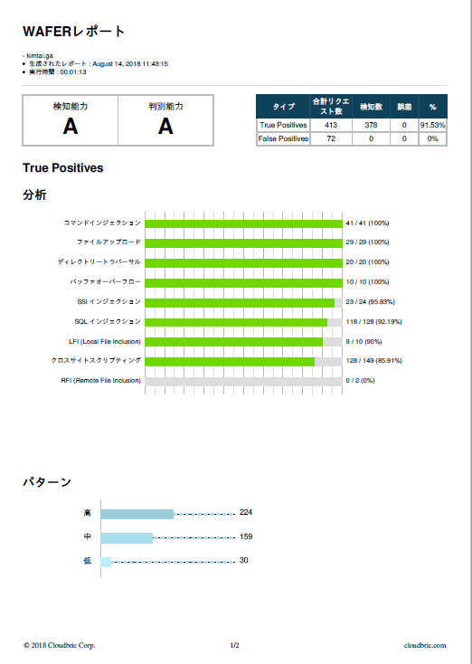 Report