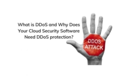 What-is-DDoS-and-Why-Does-Your-Cloud-Security-Software-Need-DDoS-protection-e1642556808513