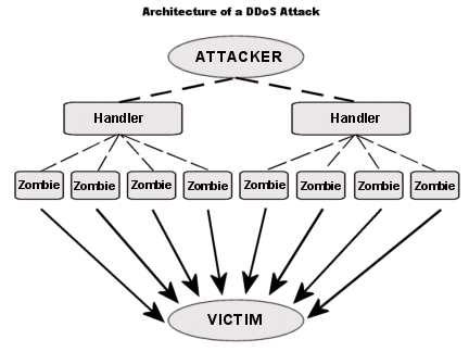 botnet, the Architecture of a DDoS Attack