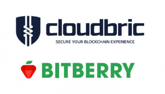 cloudbric biterry crypto wallet service security