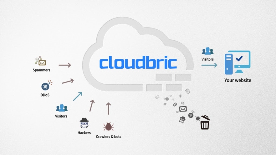 cloudbric-website-protection-visitors