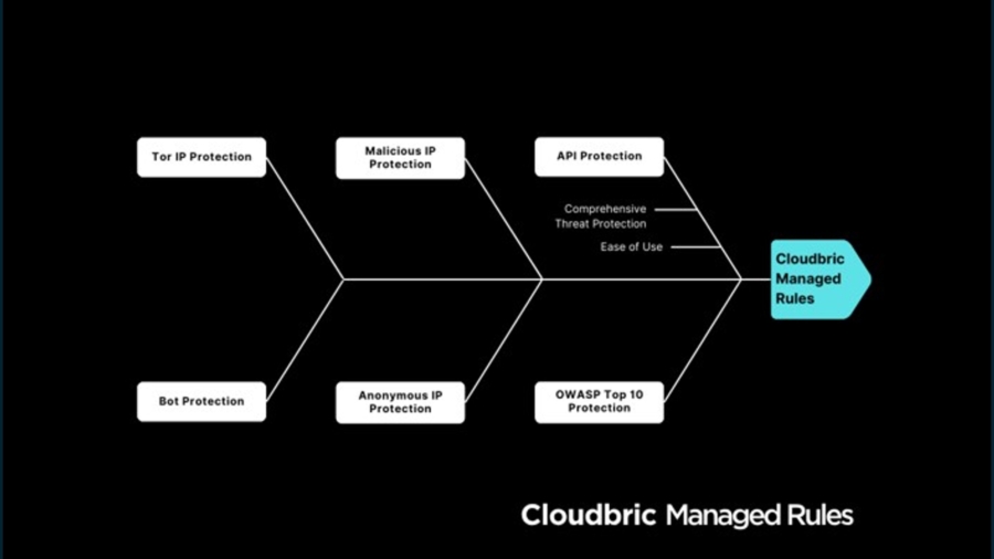Vulnerable APIs and Bot Attacks: Mitigating the Growing Costs of Insecure Endpoints