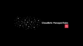 cloudbric managed rules can help against DDoS protection