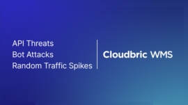 API Threats, Bot Attacks and Random Traffic Spikes_thumbnail_
