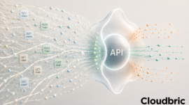 Cloudbric Managed Rules is an option for organizations looking for AWS WAF managed rules that cover different risk areas, from bot activity and API attacks to malicious IP addresses and anonymization networks.